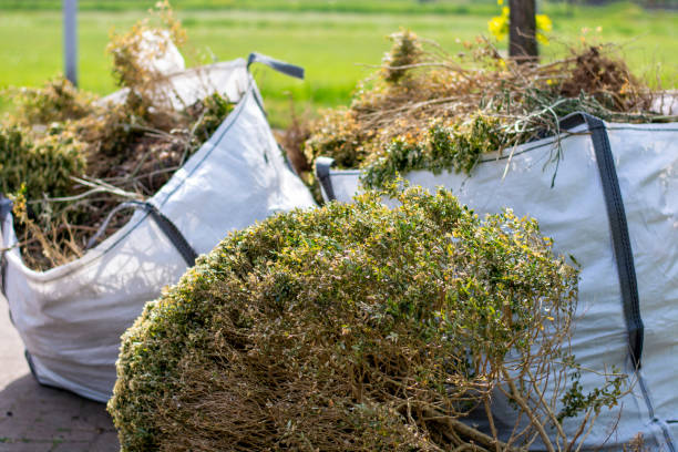 Best Full-Service Junk Removal  in Hudson, IL