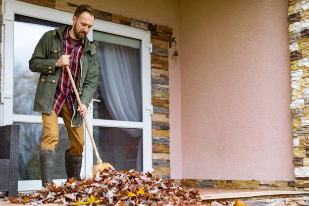 Best Basement Cleanout Services  in Hudson, IL